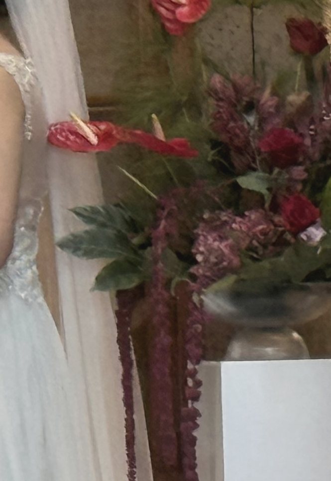 Pink and burgundy flowers on a timber table